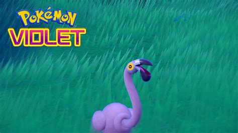 shiny flamingo pokemon.